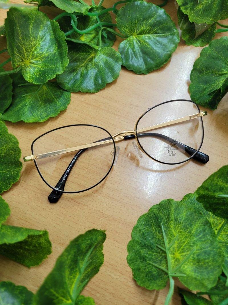 Lunettes 39